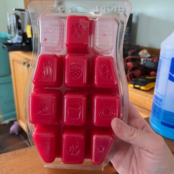 Scentsy Other - Pink Poinsettia Scentsy Brick